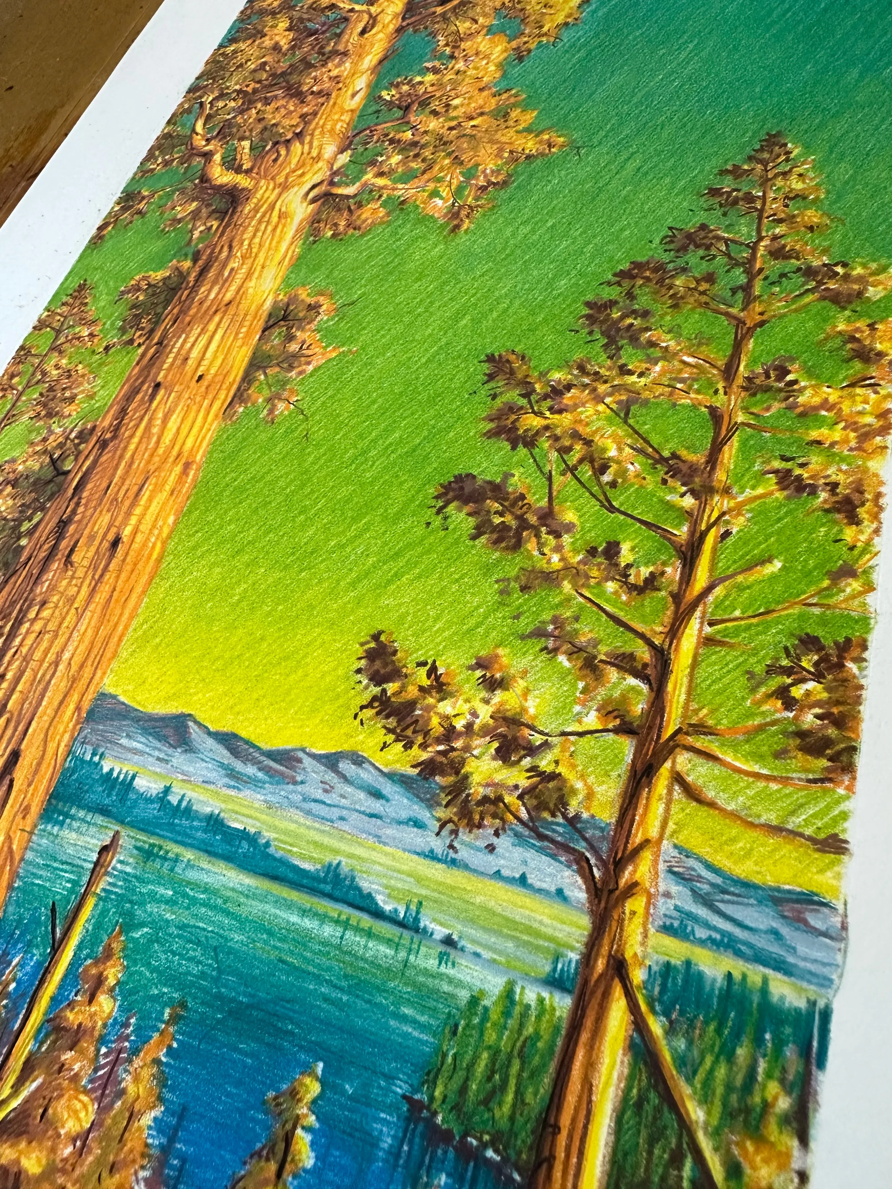 AJ Masthay "Sequoia" Color Drawing - OG