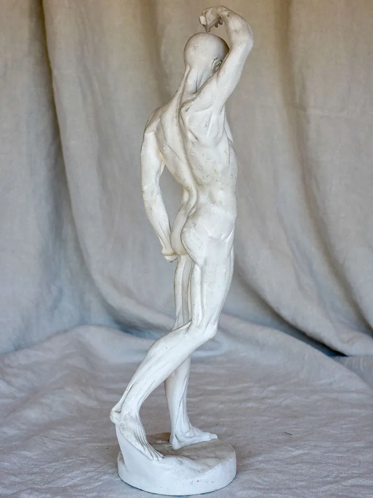 Antique French anatomical sculpture of a man in plaster