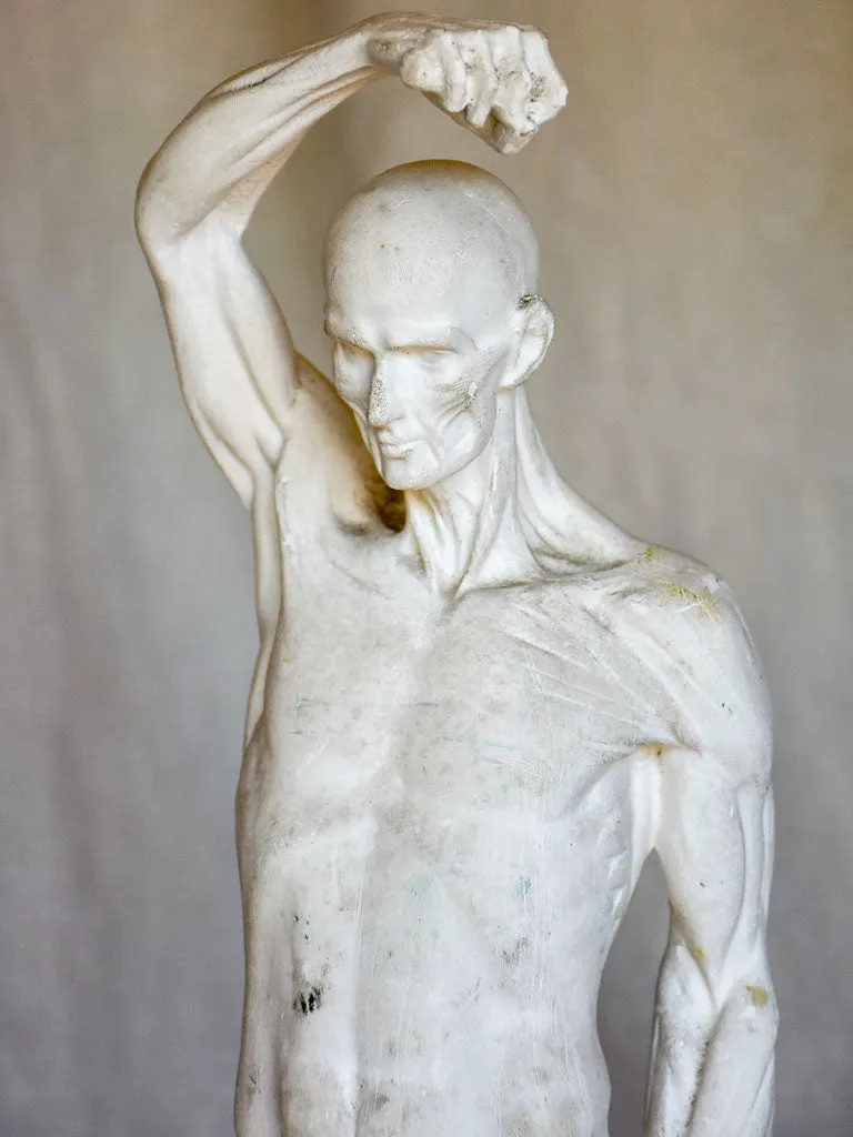 Antique French anatomical sculpture of a man in plaster