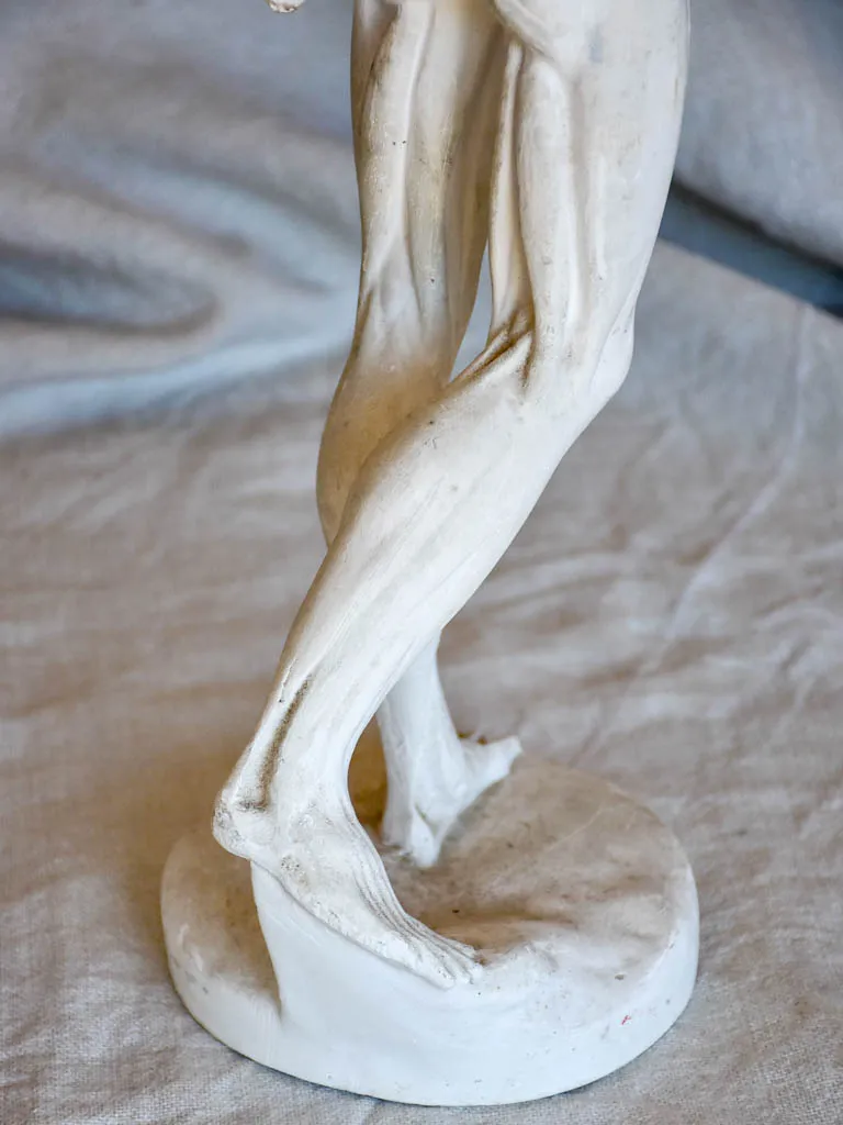 Antique French anatomical sculpture of a man in plaster