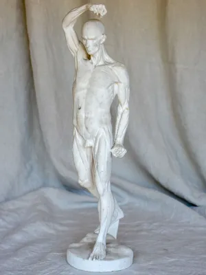 Antique French anatomical sculpture of a man in plaster