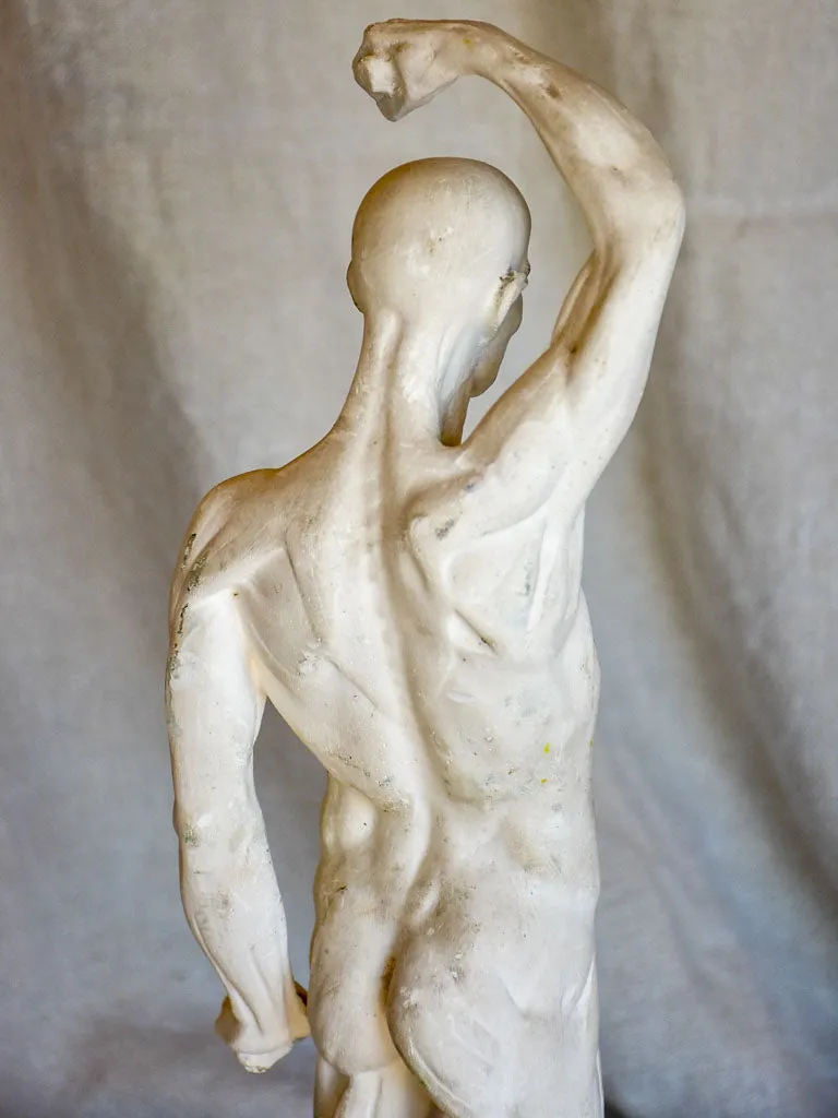 Antique French anatomical sculpture of a man in plaster