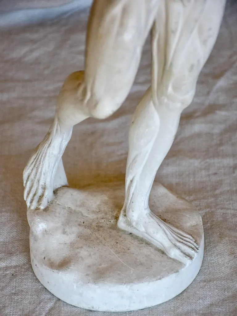 Antique French anatomical sculpture of a man in plaster