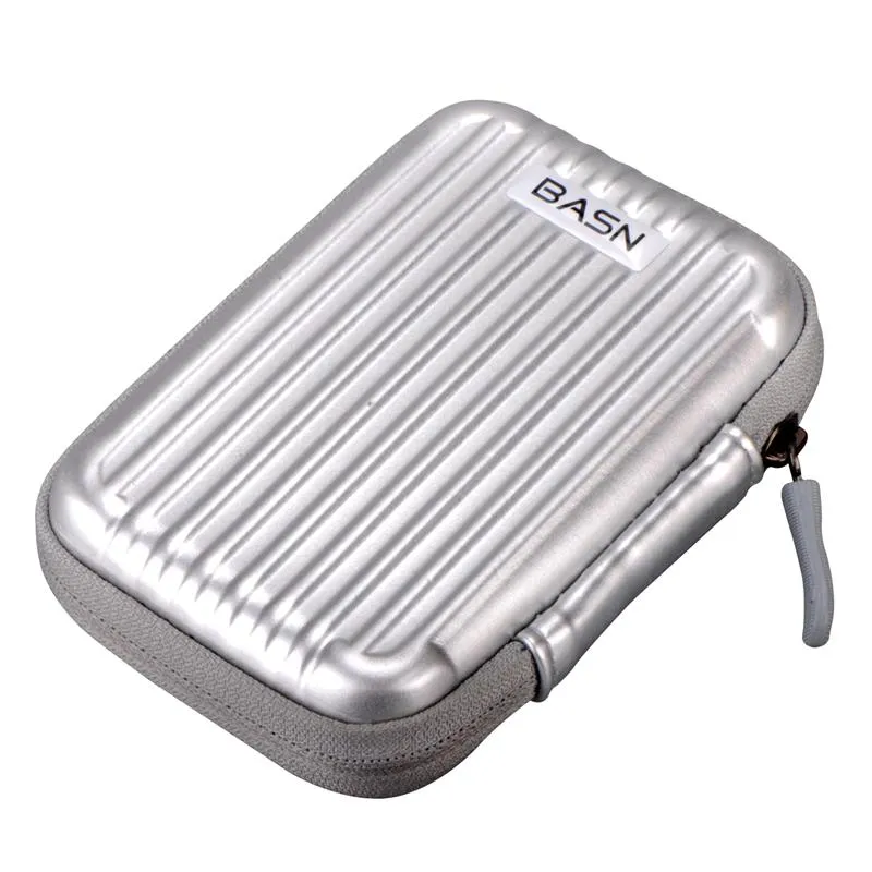 BASN CS100 Headphones Carrying Case  (Silver)