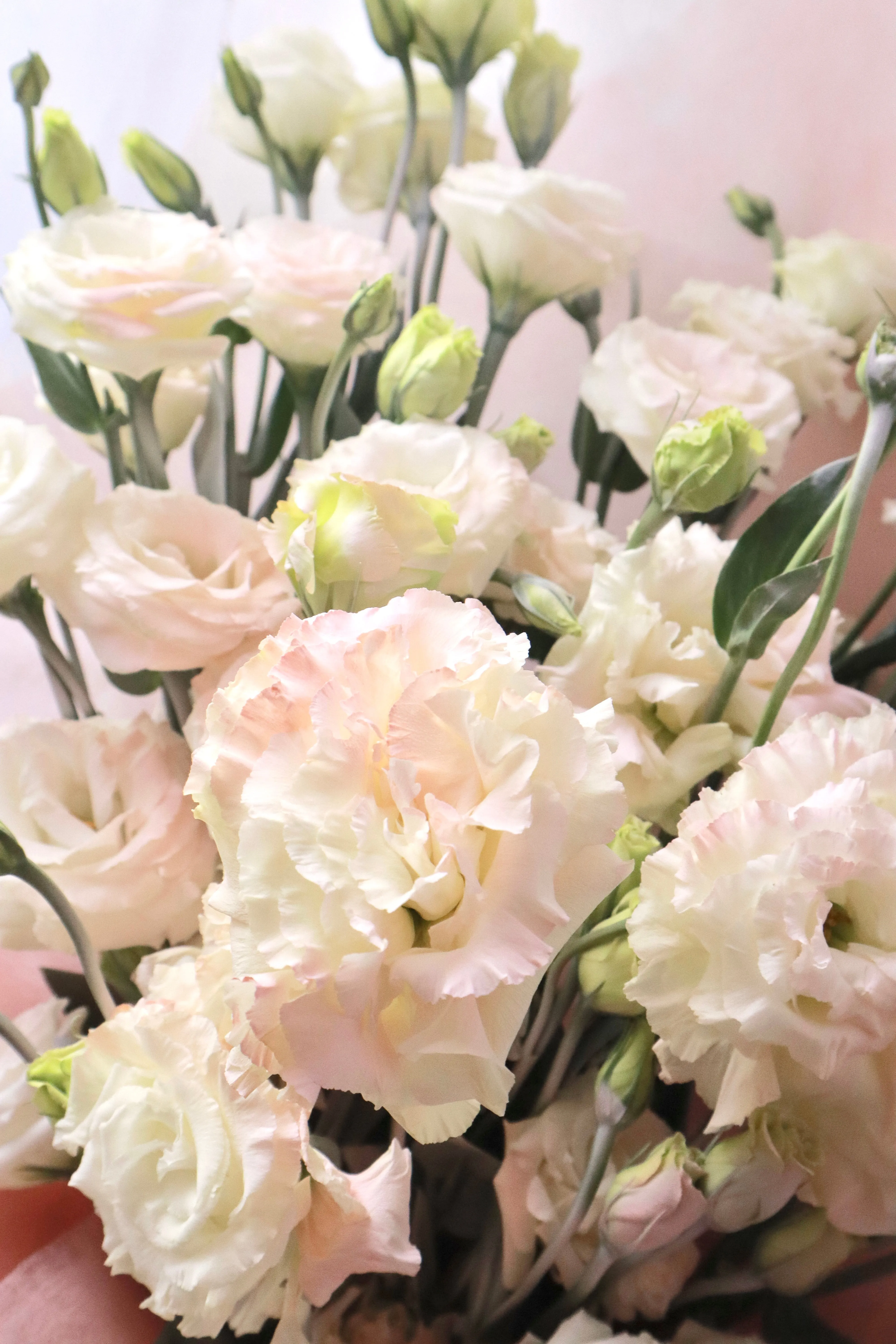 Chic Blush Eustoma Bouquet