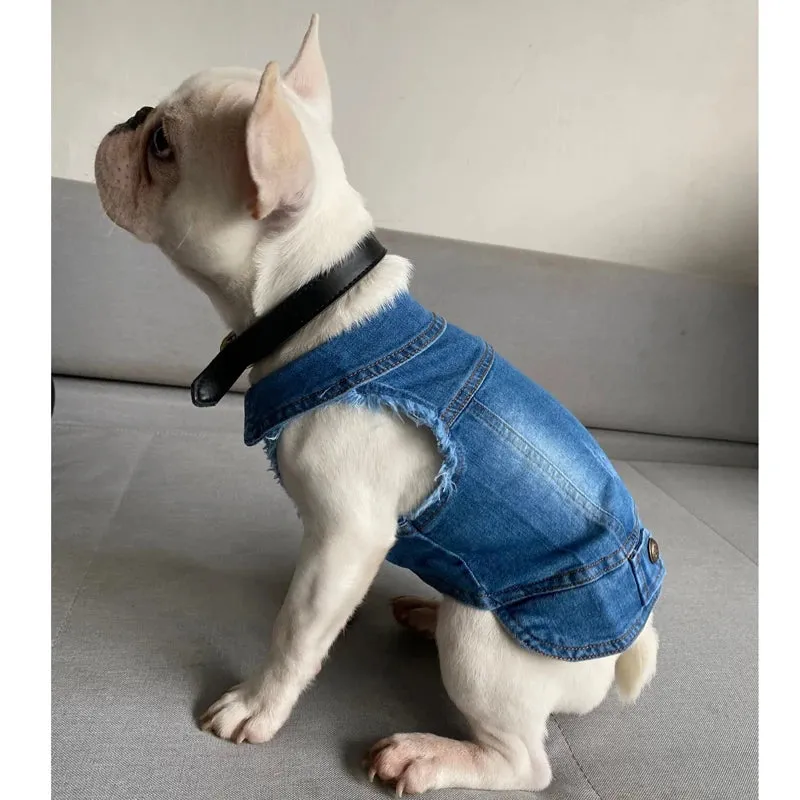 Chic Dog Denim Jacket