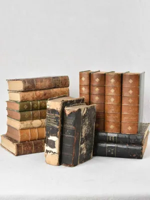 Collection of fifteen antique French books