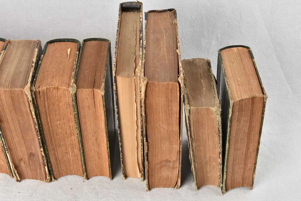 Collection of fifteen antique French books