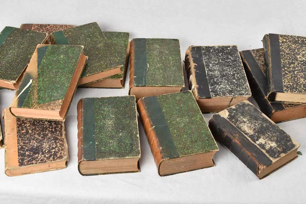 Collection of fifteen antique French books