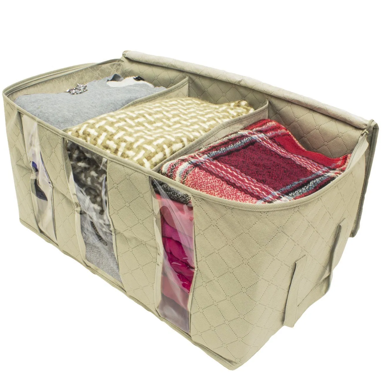 Foldable Storage Bag Organizers (2 Pack)