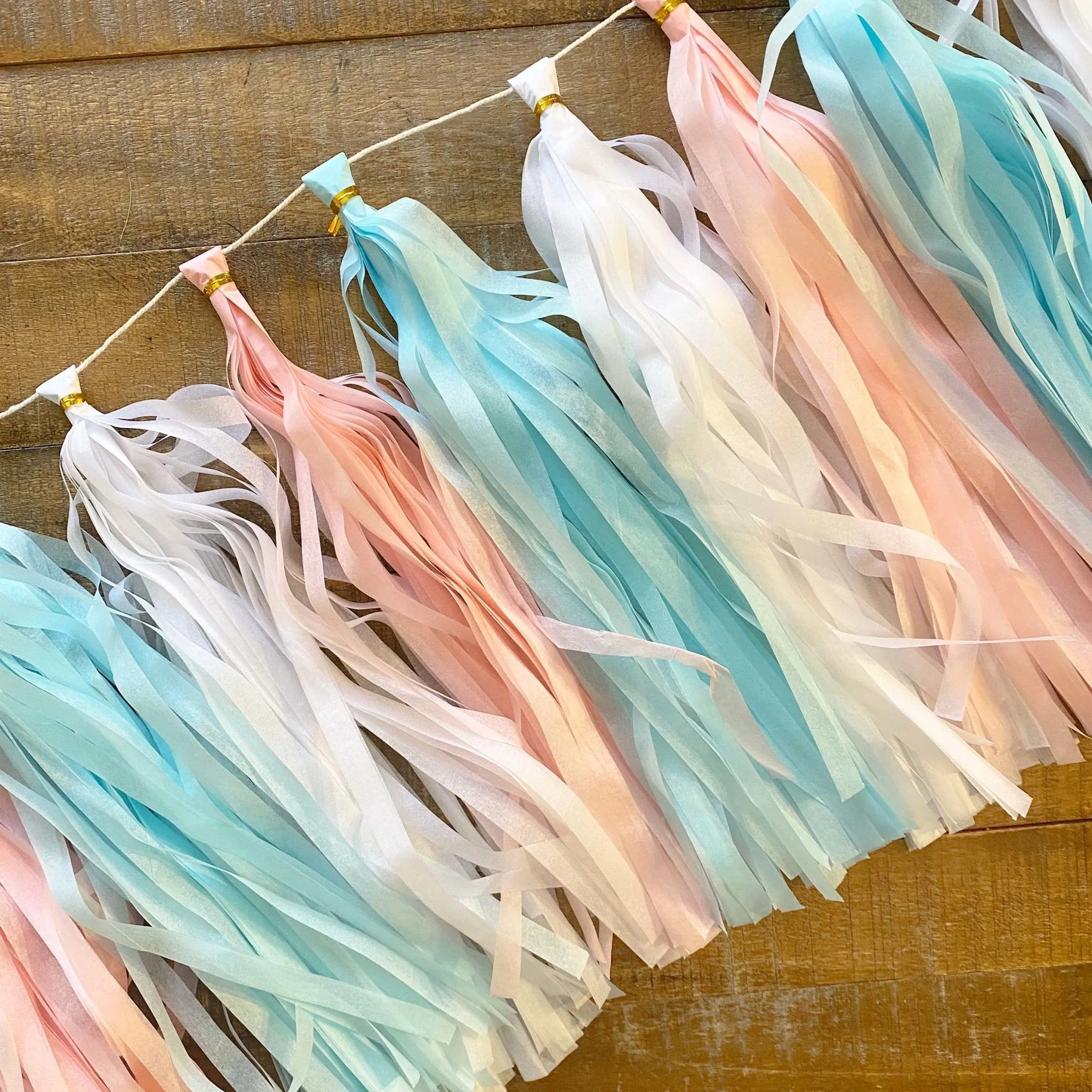 Gender Reveal Paper Tassel Tail - Tassel DIY Garland Kit