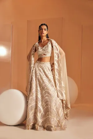 Gorgeous Odette Lehenga Set