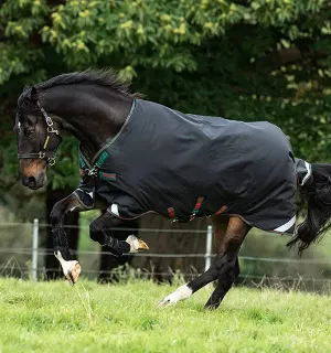 Horseware Rambo Original Turnout 200g