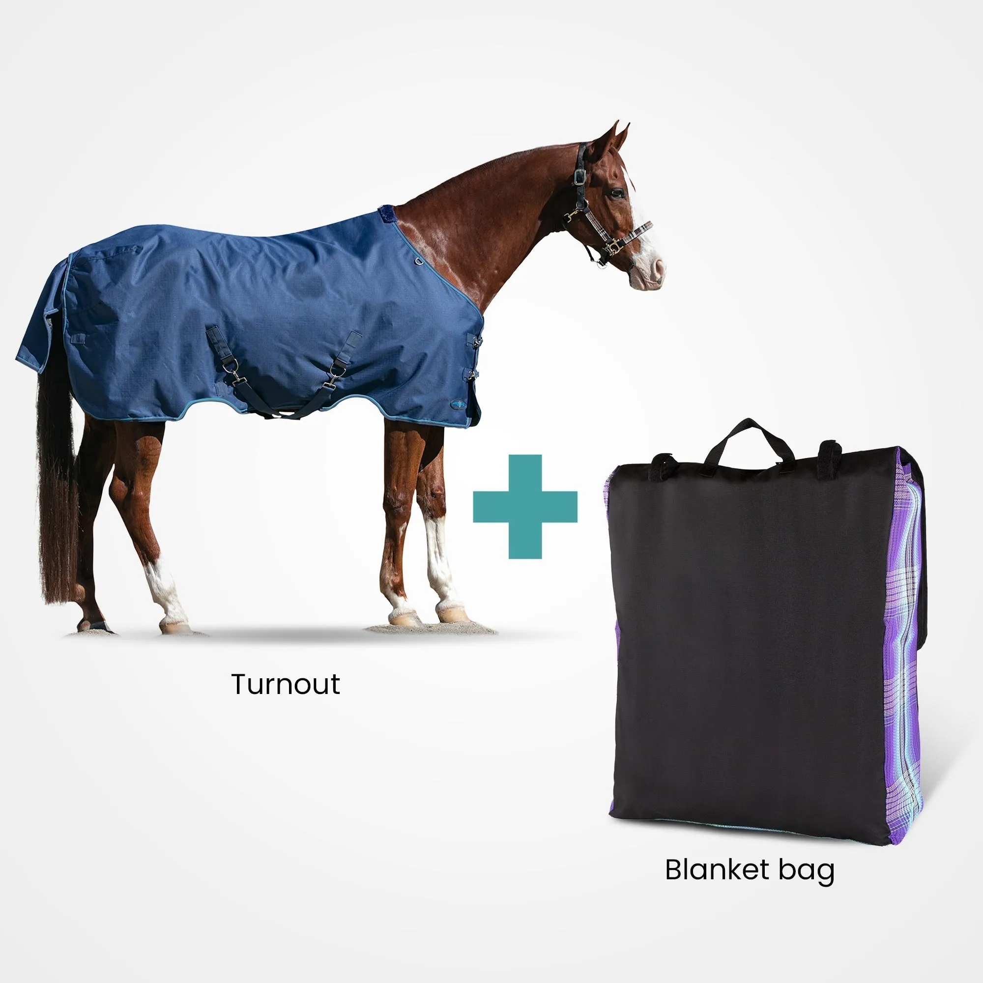 Kensington Bundle - Pony Heavy Weight Turnout & Blanket Bag