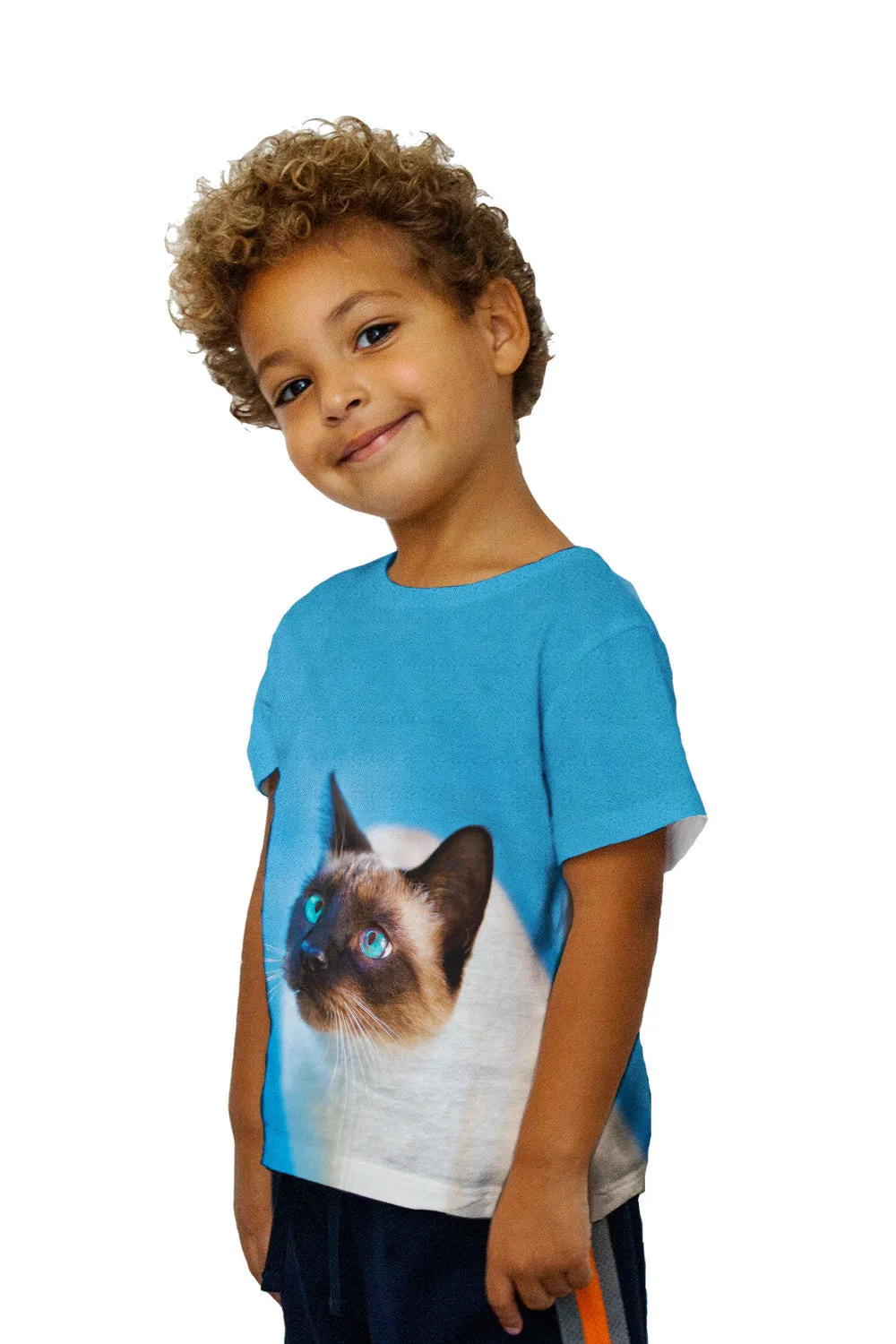 Kids Gorgeous Eyes Siamese Cat