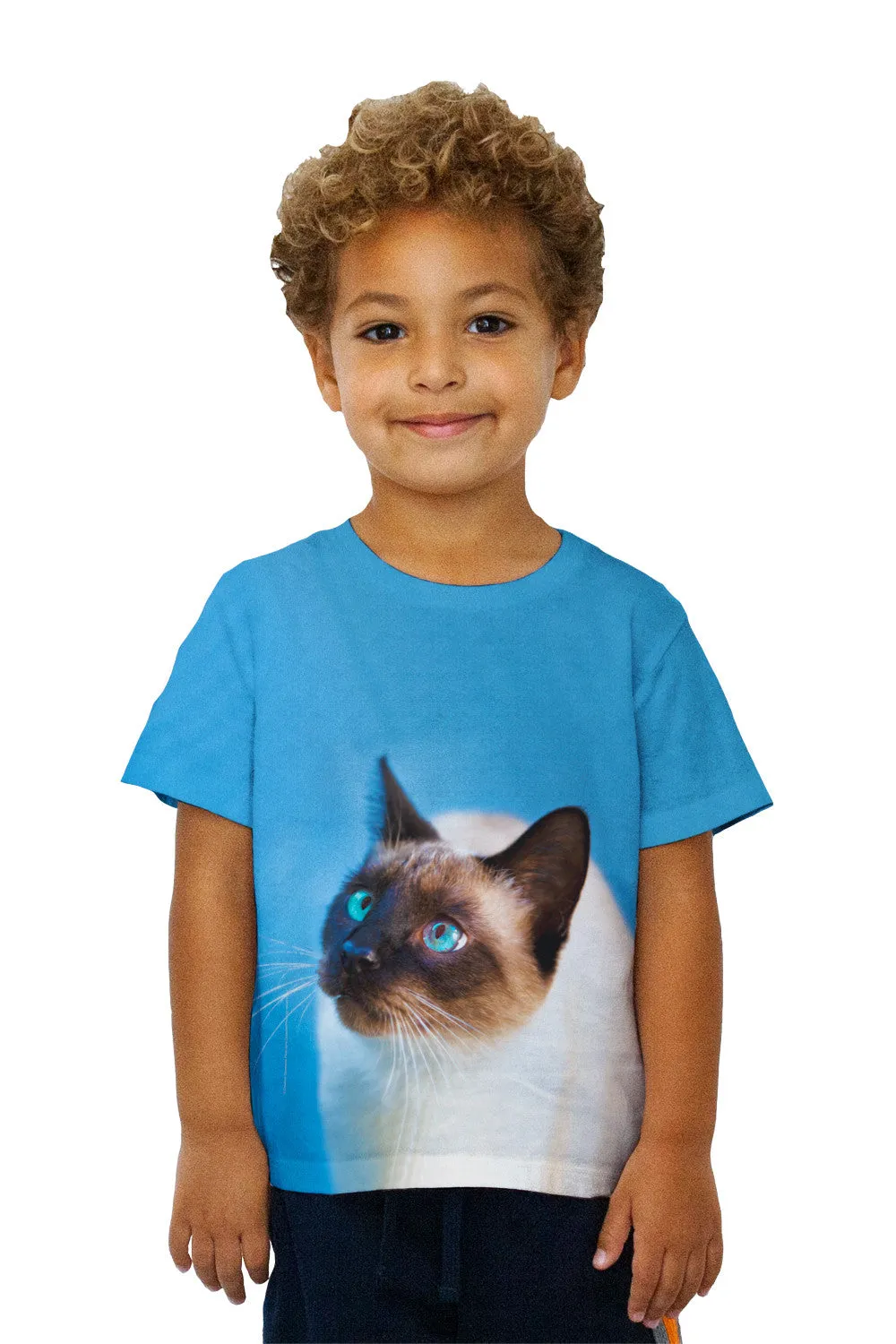 Kids Gorgeous Eyes Siamese Cat