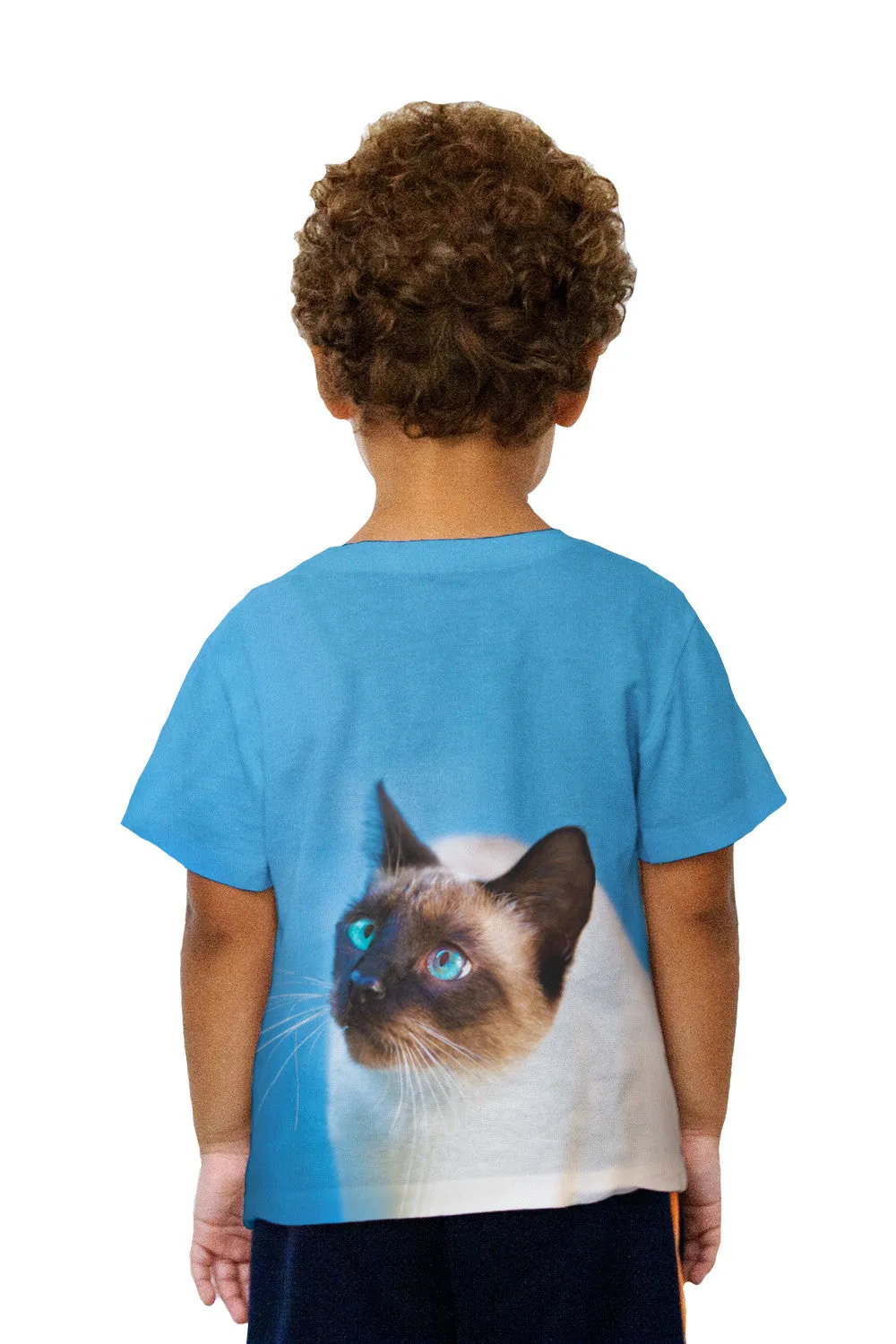 Kids Gorgeous Eyes Siamese Cat