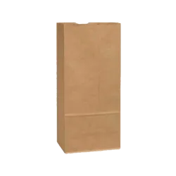 Kraft Paper Bag #52