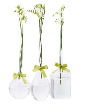 Sleek & Chic Vase