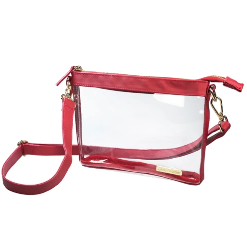 Small Clear Crossbody Bag