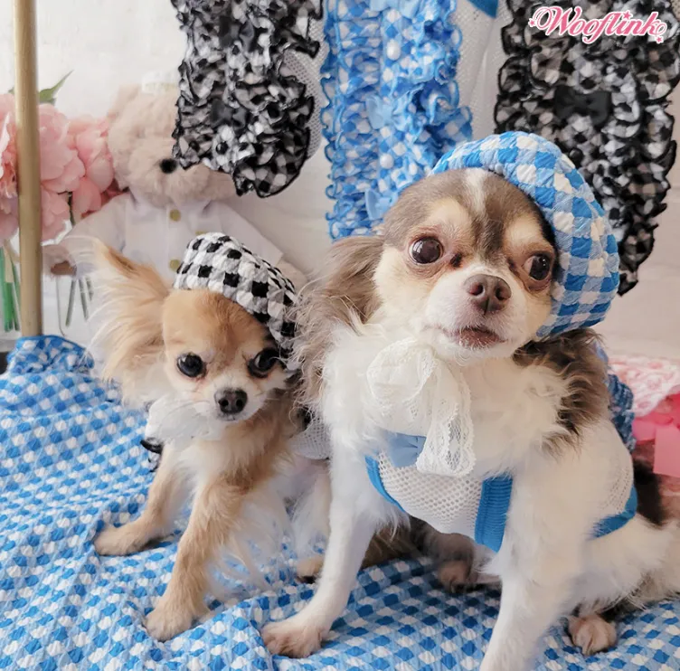 Wooflink Hey Gorgeous Beret in Pink